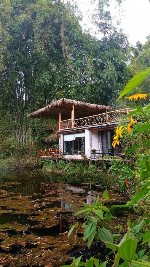 Cantalarana Lodge Mindo Esterno foto