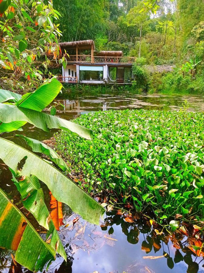 Cantalarana Lodge Mindo Esterno foto