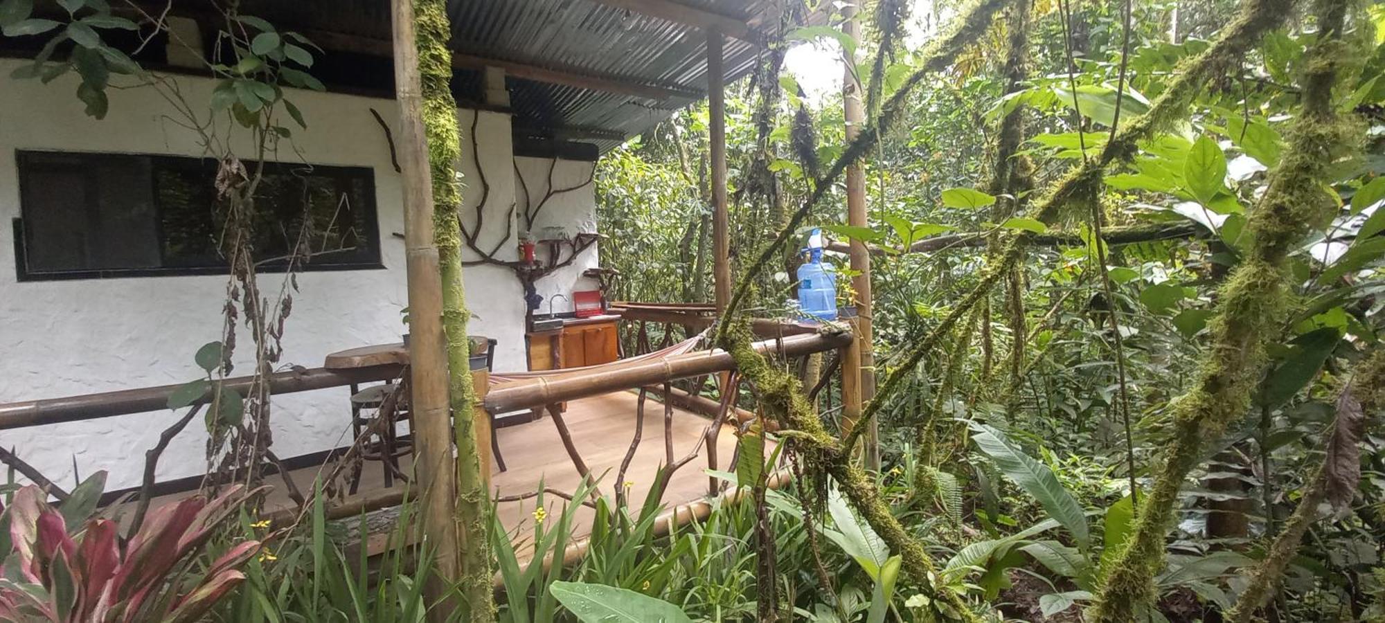Cantalarana Lodge Mindo Camera foto